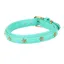 Shires Digby and Fox Star Dog Collar - Teal